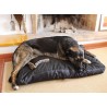 acheter Orthopédique Dog Bed - Produits supplémentaires