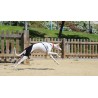 buy Hip Brace - Technical assistance