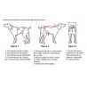 comprar Silla de ruedas para perro abatible - Productos adicionales