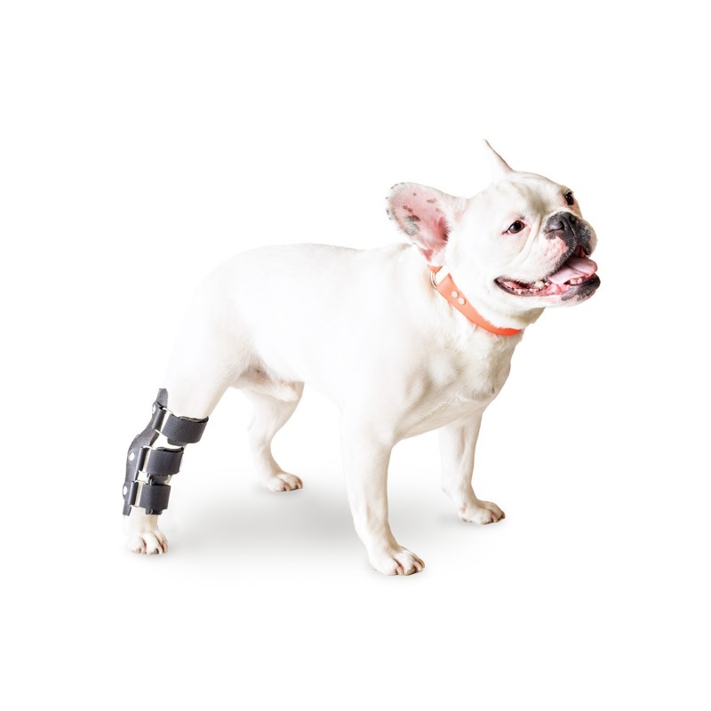 Hock Splint for dogs