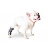 구입하다 Hock Splint for dogs - Technical assistance