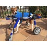 Accesorio ruedas delanteras para perro