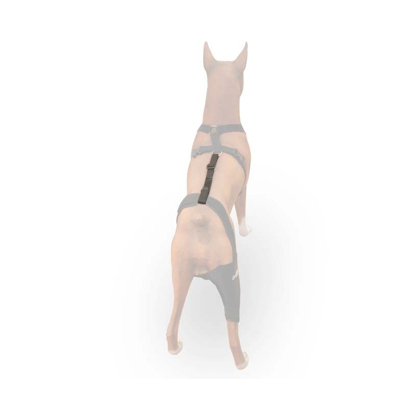 Ortocanis rear support harness outlet