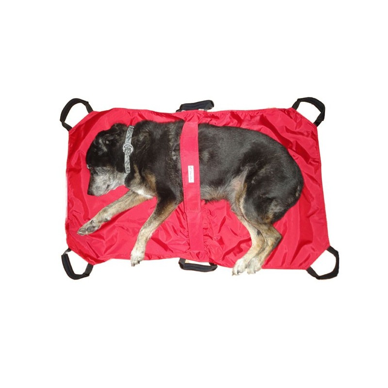 buy Dog Transport Stretcher - Productos adicionales