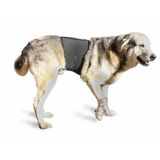 Soporte para columna perro