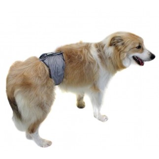 Pantalones de protección beige dogszone los machos-band pipí-Stop-anti-marcador banda perro