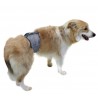 Bandeau de protection urinaire pour chiens mâles