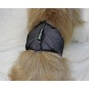 Male Wrap for Dogs 