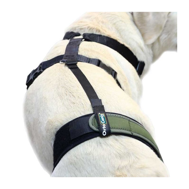 구입하다 Knee Brace Fastening Belt - 부속품