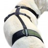 구입하다 Knee Brace Fastening Belt - 부속품