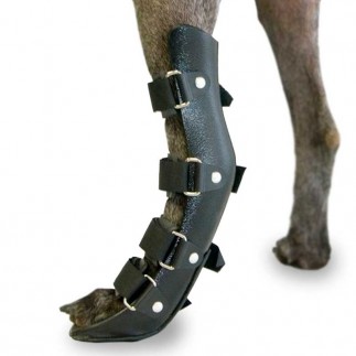 buy Rear Leg Splint for Dogs - Technical assistance