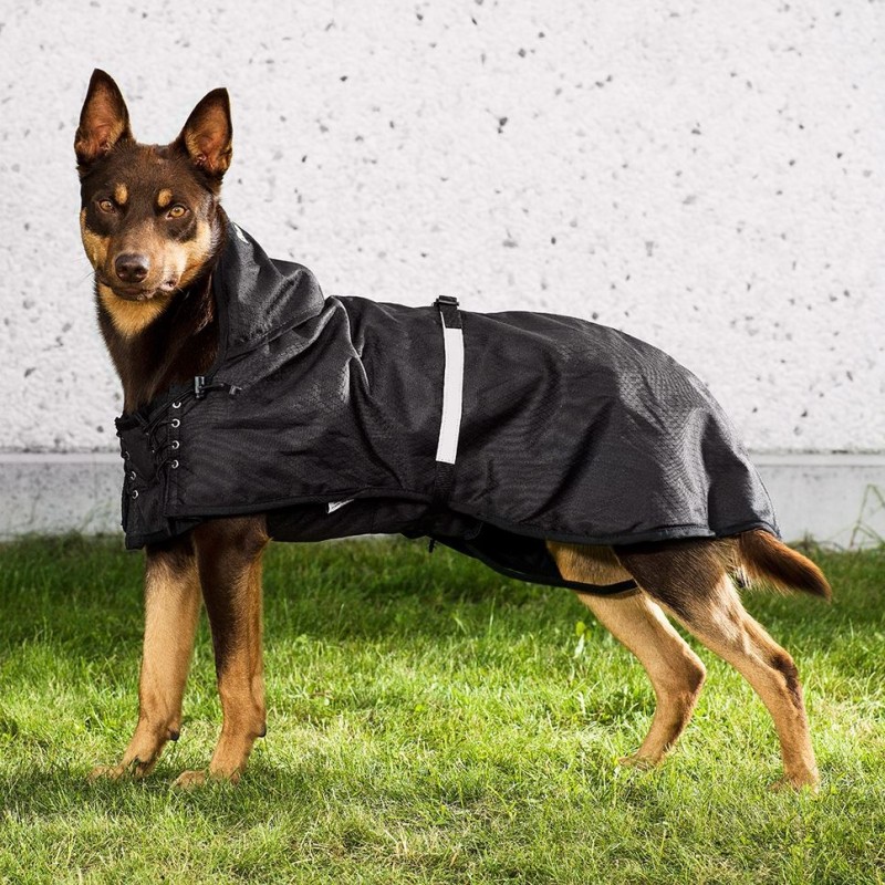 Ortocanis Dog Coat: Back on Track