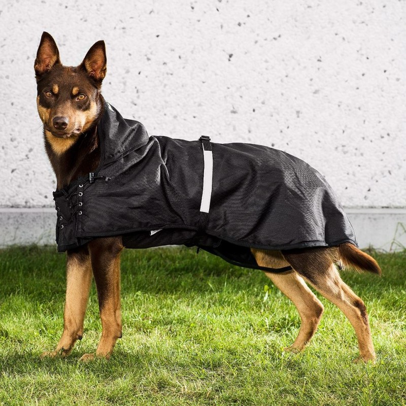 Back on track dog jacket sale