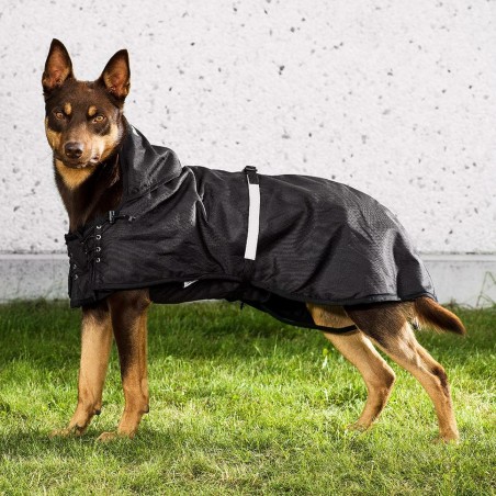 Ortocanis Thermal Dog Coat Back on Track