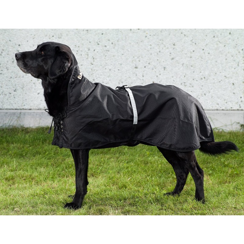 Ortocanis Thermal Dog Coat Back on Track