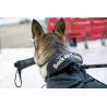 Manteau thermique pour chien