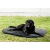 acheter Coussin thermique pour chien - Aides techniques