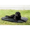 구입하다 Thermal Dog Bed - Technical assistance