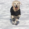 Abrigo térmico impermeable perros Back on Track