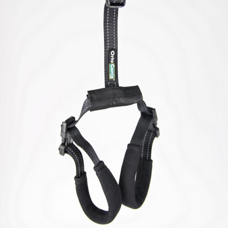Rear Support Harness
