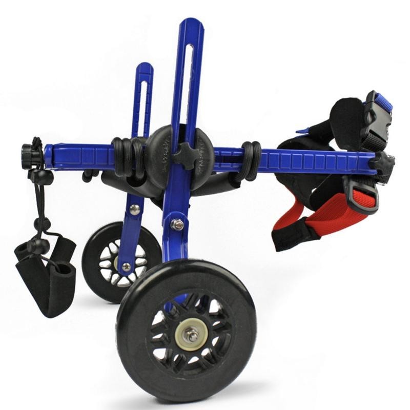 Chariot Roulant Pour Chien Handicape Ortocanis Com