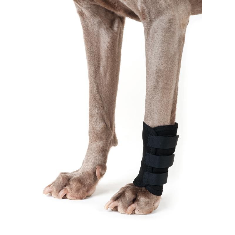 Tutore per il carpo del cane "Back on track"