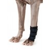 buy Leg wrap - Joint protectors for dogs