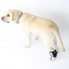 Correcteur proprioceptif pour chien