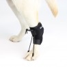 Correcteur proprioceptif pour chien