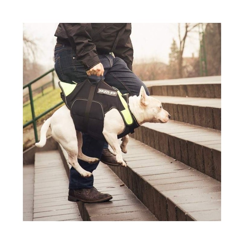 Julius k9 multifunctional vest hot sale