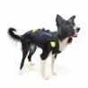 buy Dog Multifuncional Harness 3 in 1 IDC Julius-K9 - Technical assistance