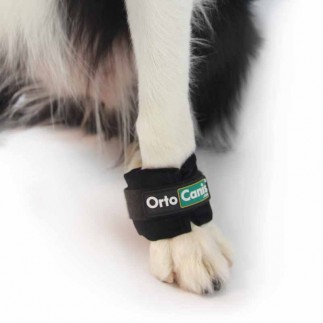 Bracelet lesté pour le renforcement musculaire du chien