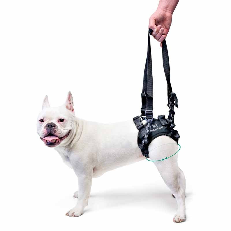 M, Red OCSOSO Pet Auxiliary Belt Dog Harness Carriers Assist Sling Portable Lift Security Support Rehabilitation with Handle for Canine Aid Dog 