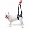 buy Dog Lift Harness - Harnesses