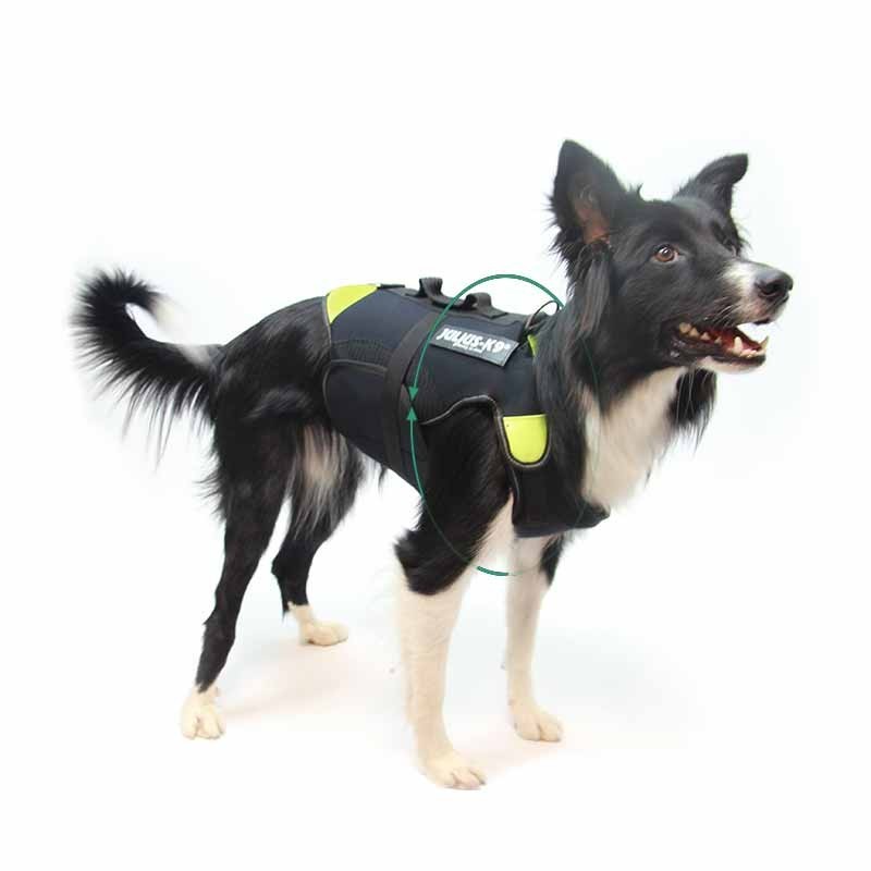 Dog Multifunctional Harness 3 1 Julius