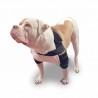 buy Elbow Pads - Technical assistance