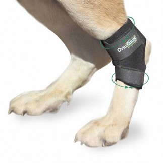 XS YOUTHINK Pet Dog Hinterbeine Protector Verstellbare Kniestütze Beinstütze für Hunde Hinterbeine wiederherstellen schützt Wunden hilft bei Stabilitätsverlust durch Arthritis 