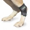 acquistare Tutore tarso per cani - Protettori articolari per cani