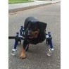 Accesorio ruedas delanteras para perro