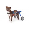 Cadira de rodes per a gos