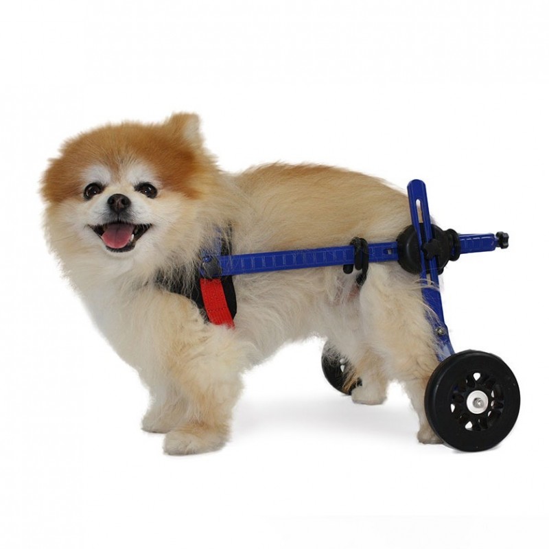 Comment utiliser un chariot réglable pour chien
