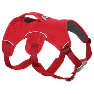 Web Master Arnés Ruffwear per a gos