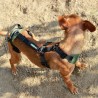 buy Full Support Harness for dog - Technical assistance