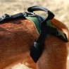 구입하다 Integral Dog Harness - Technical assistance