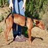 buy Full Support Harness for dog - Technical assistance