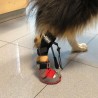 Chaussure pour corriger le knuckling chez les chiens