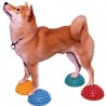 Togu Senso Igloo Demi-balles hérisson pour rééducation des chiens