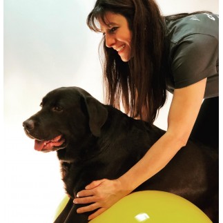 Einführungskurs in die veterinärmedizinische Rehabilitation