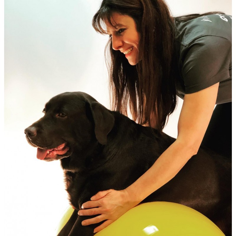 Curso de Iniciación a la Rehabilitación Veterinaria