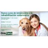 Initiation Course to Veterinary Rehabilitation